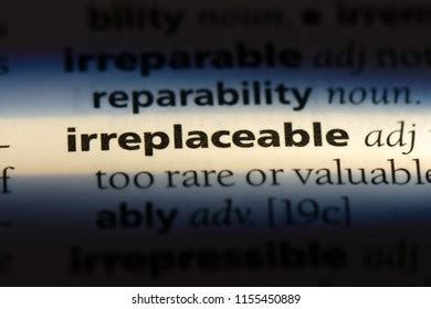 irreplaceable 뜻: 시간이 흘러도 변하지 않는 가치